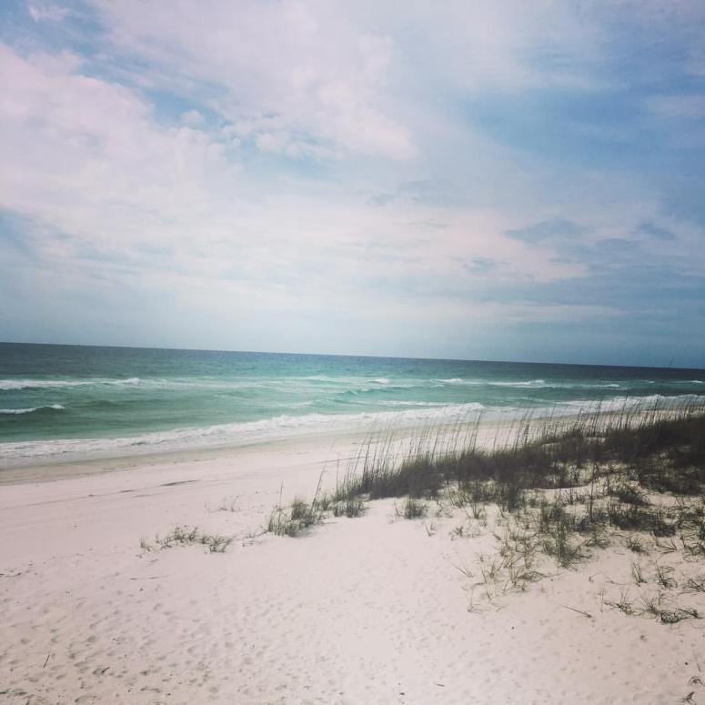 17039184_10203119067773037_7303126277906787478_o